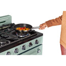 Unique Appliances 30-inch Freestanding Gas Range UGP-30CR OF2 G IMAGE 6