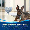 Bissell Little Green® Portable Carpet & Upholstery Cleaner 3369C - Refurbished