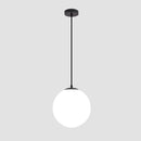 Latitude Run® Single Black Hanging Light Pendant C002965741 - Like New