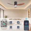 Ohniyou 42'' Flush Mount Ceiling Fan with Lights（Walnut Color）