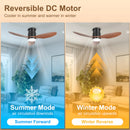 Ohniyou 42'' Flush Mount Ceiling Fan with Lights（Walnut Color）