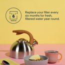 Everydrop Ice & Water Refrigerator Filter 4 - EDR4RXD1B