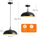 Eustace Vintage 13.8" Matte Black Large Pendant Light with Gold Finish