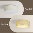 CALOKES 18-Inch Large Flush Mount Ceiling Light Fixture