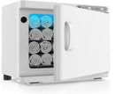 SFANSPA 2-in-1 Thermostatic Towel Heater