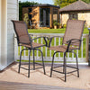 AOXUN Outdoor Swivel Bar Stool Chairs (Set of 2)
