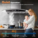 Tieasy 30" Convertible Wall Mount Range Hood (Vented or Ventless) TG1875G-CC-I1 - Refurbished