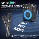 Karaoke Speaker with 2 Wireless Microphone