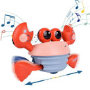 Crabe musical rampant Hopscotch Lane Dancing 6000207769942 - Comme neuf 