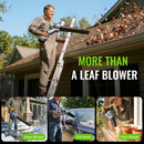 LuckyTech Cordless Handheld Leaf Blower