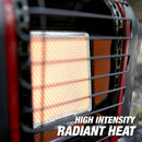 Mr. Heater 4,000-9,000 BTU Portable Buddy Heater