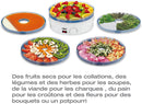 Salton VitaPro Food Dehydrator