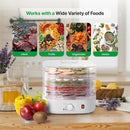 NutriChef Food Dehydrator Machine
