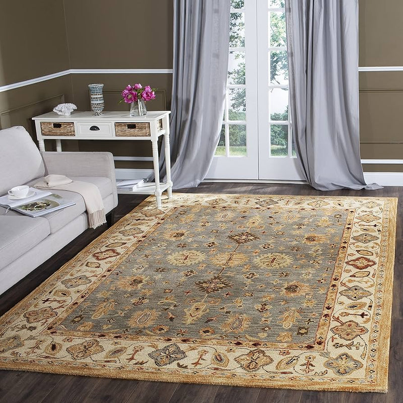 Safavieh 6' x 9' Antiquity Traditional Rug AT847A-6 - Like New