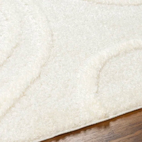 Wade Logan 7'10 x 10' Ailey Shag Cream Area Rug C010984808 - Like New