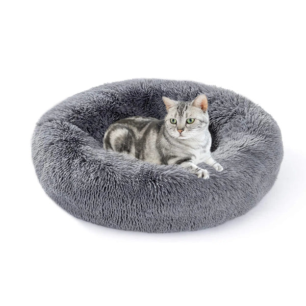 Tucker Murphy Pet™ Anti-Anxiety Small Round Donut Dog/Cat Bed in Grey  C010587491 - Refurbished