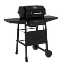 Expert Grill 2 Burner Propane Gas BBQ Grill