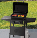 Expert Grill 2 Burner Propane Gas BBQ Grill