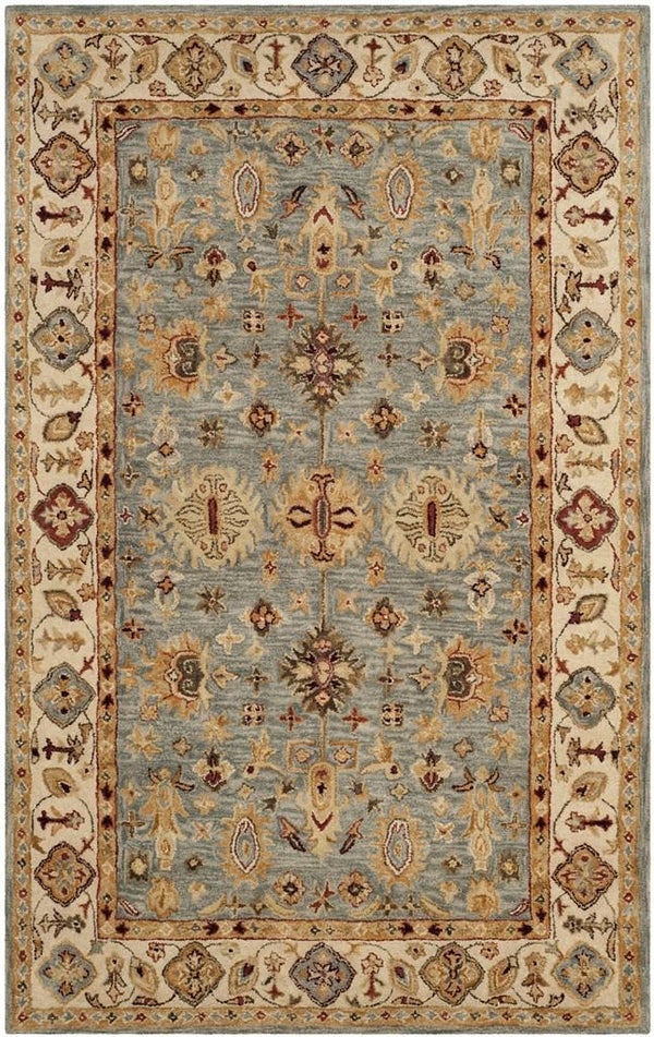 Safavieh 6' x 9' Antiquity Traditional Rug AT847A-6 - Like New