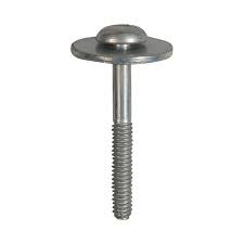 Whirlpool screw