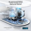 Dreo 4L Humidifier