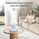 Dreo 4L Humidifier